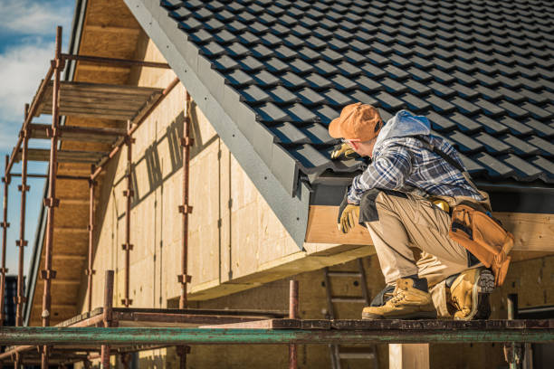Best Solar Panel Roofing Installation  in Pine City, MN