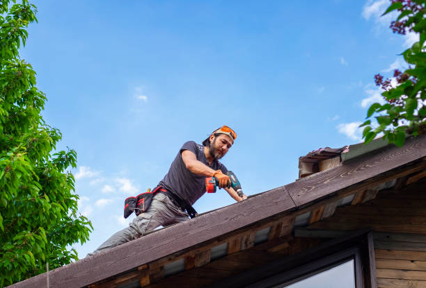 Best Wood Shake Roofing  in Pine City, MN